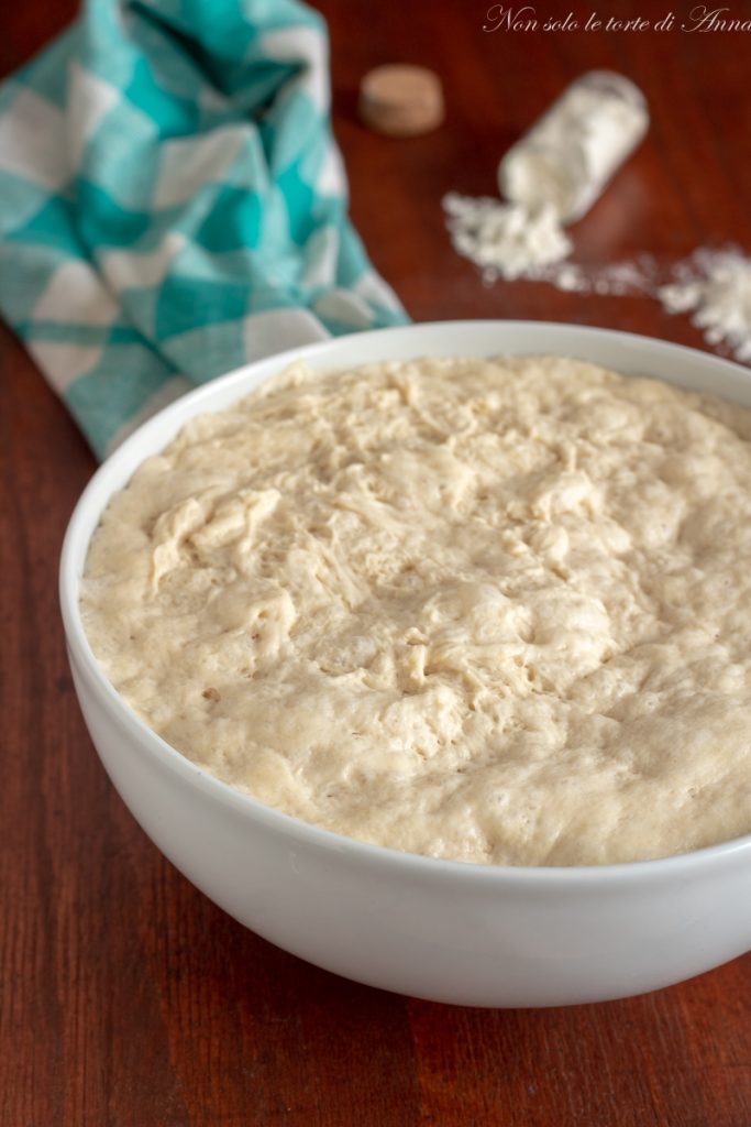 high hydration pizza dough