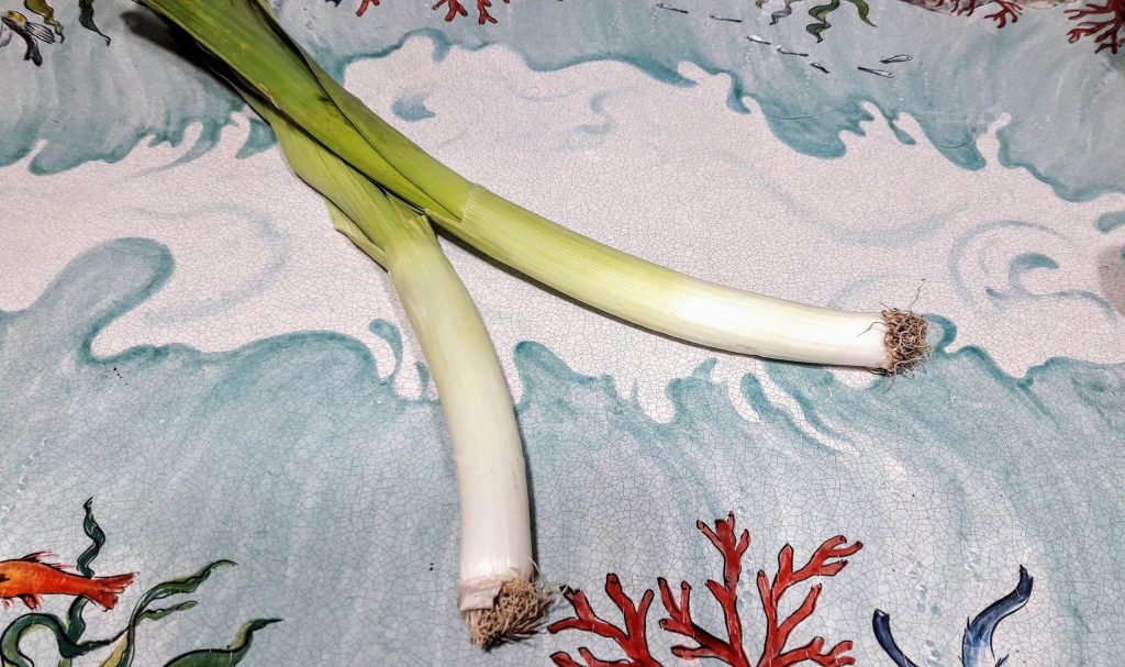 leek