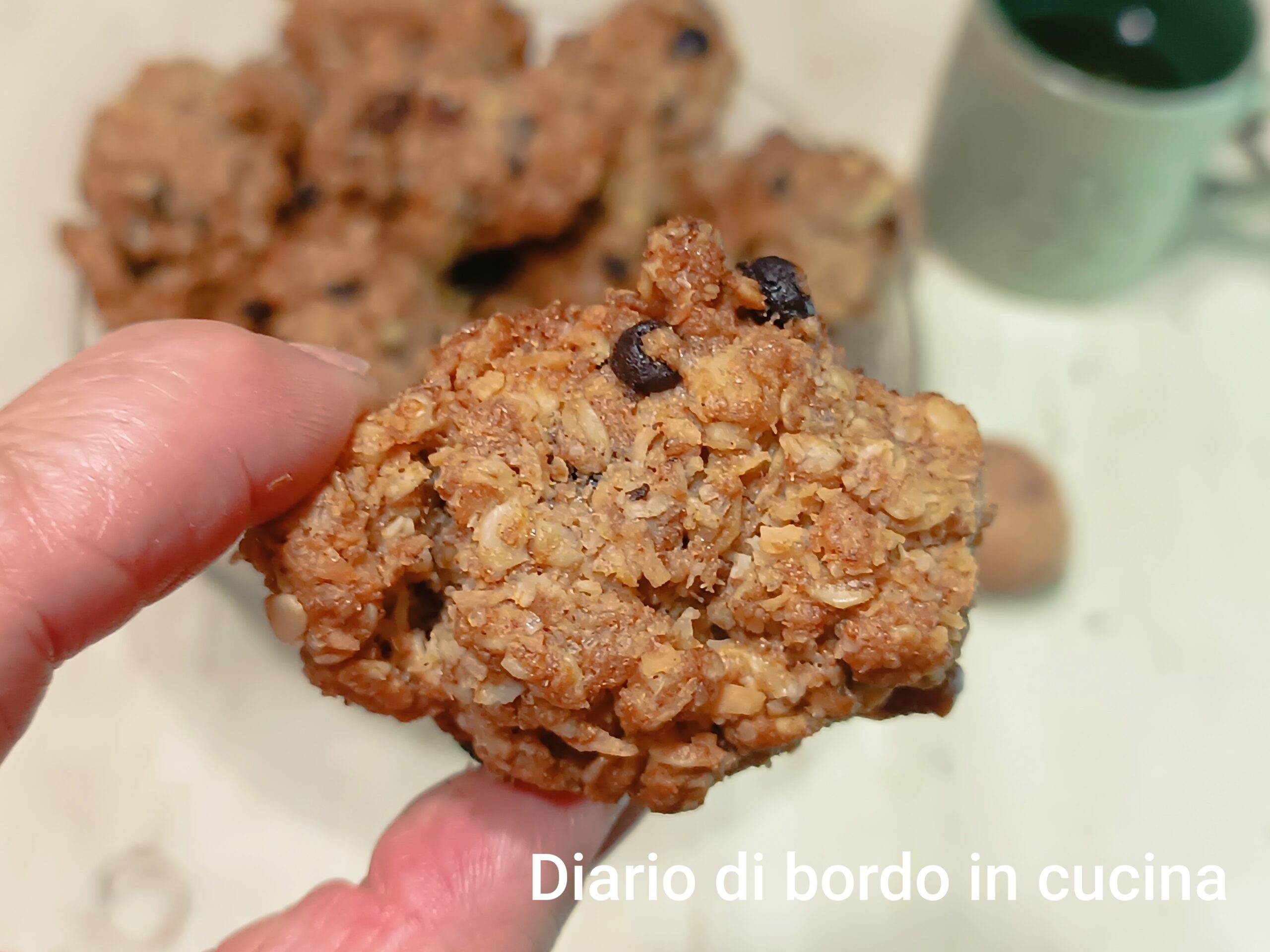 Oatmeal Cookies with Dried Fruit and Chocolate Chips