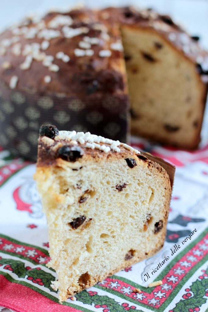 Quick Panettone