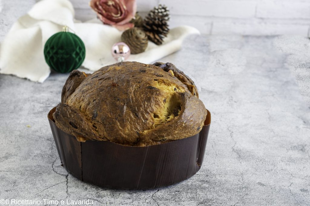 naturally leavened panettone p giorilli