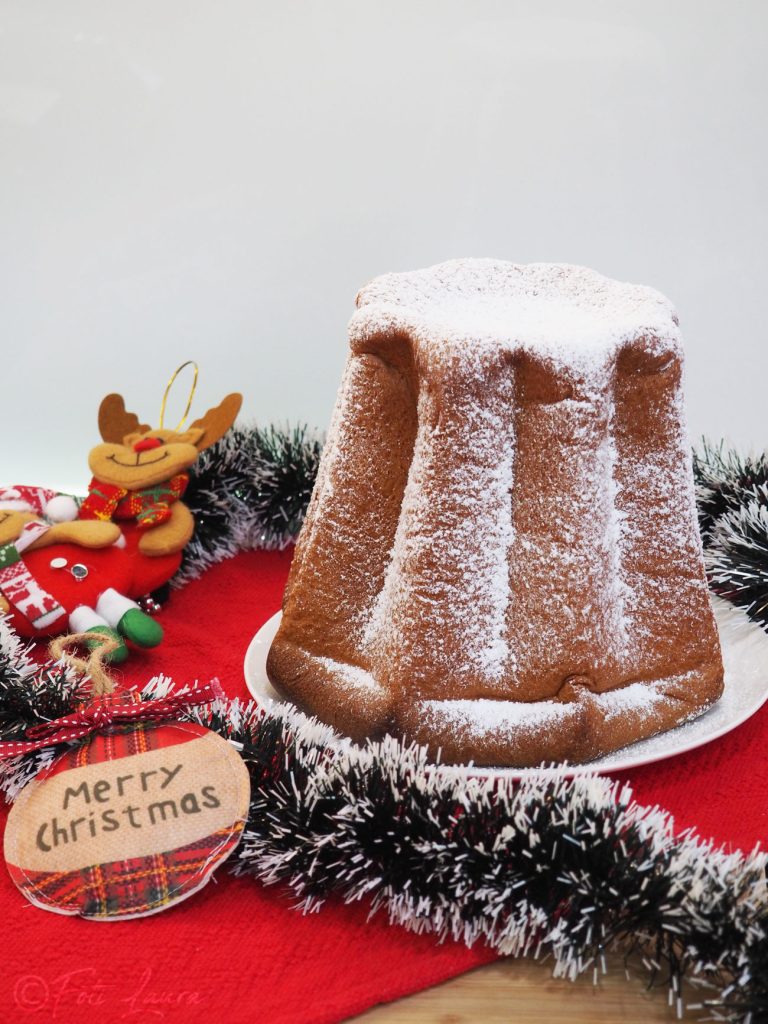 Pandoro prepared with Monsieur Cuisine Smart