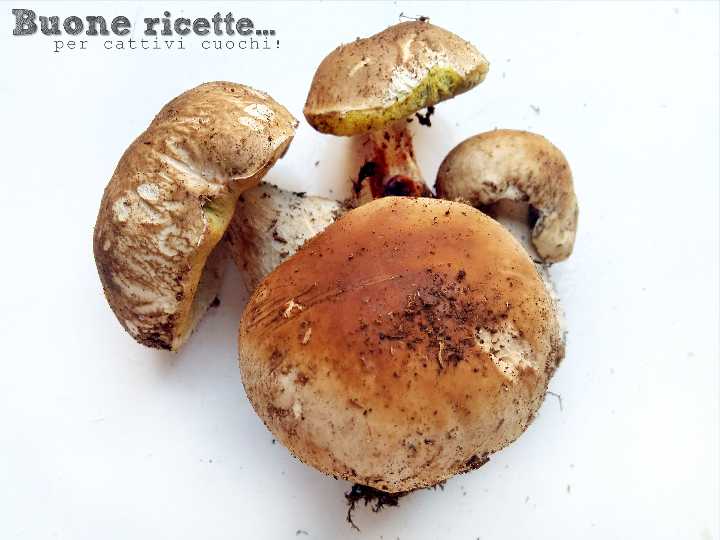 fresh porcini mushrooms to wash