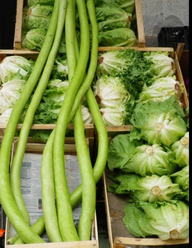 Sicilian long zucchini