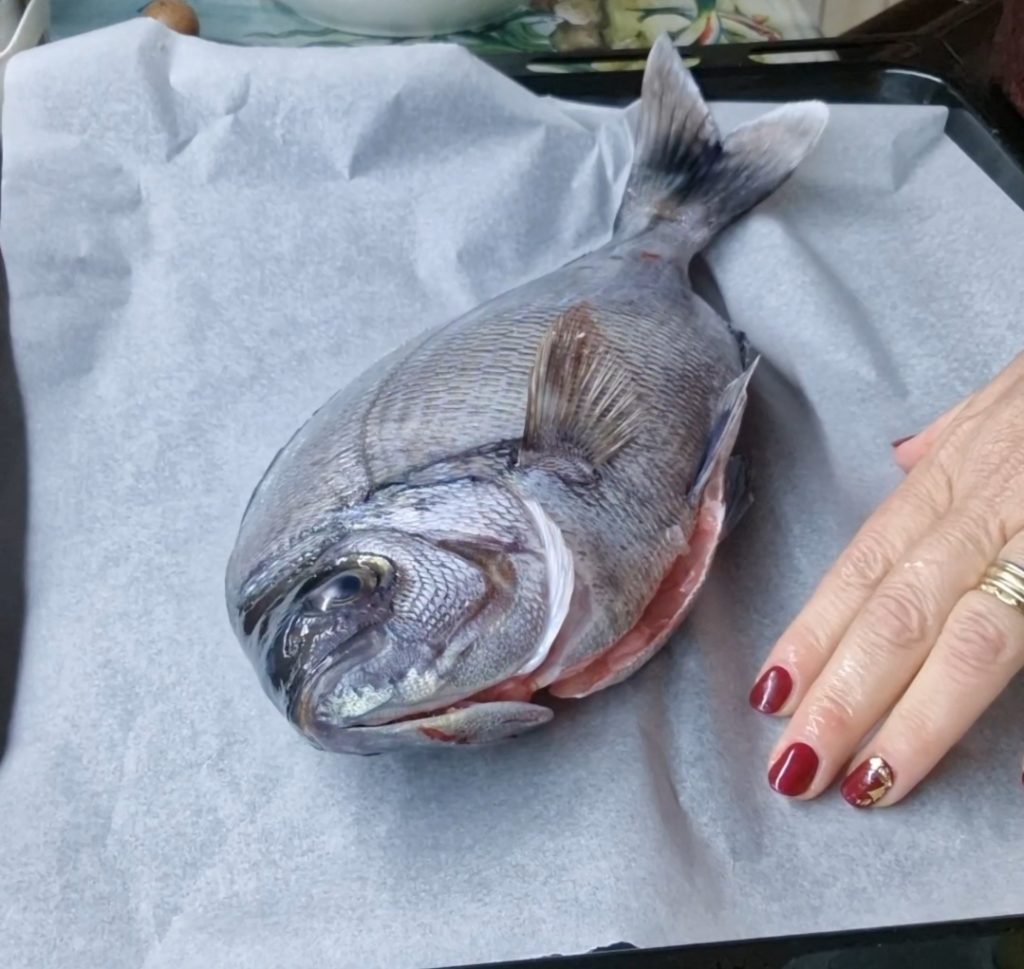 tanuta white seabream