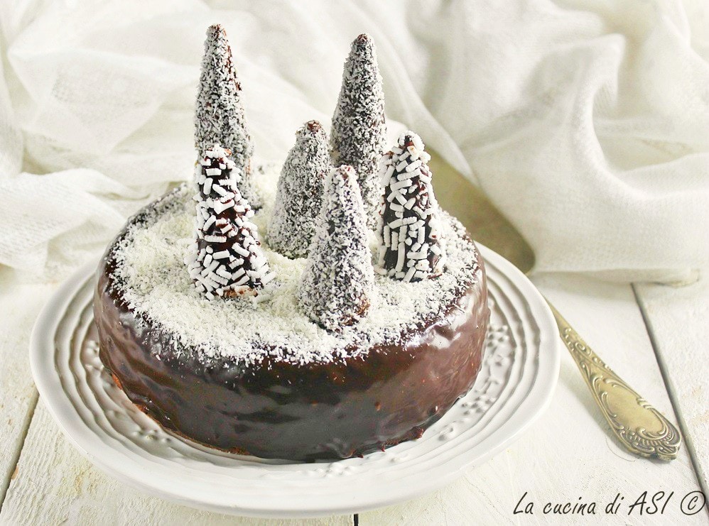 Snowy Cocoa Cake