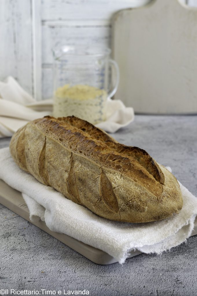 Sourdough Bread with Preferment