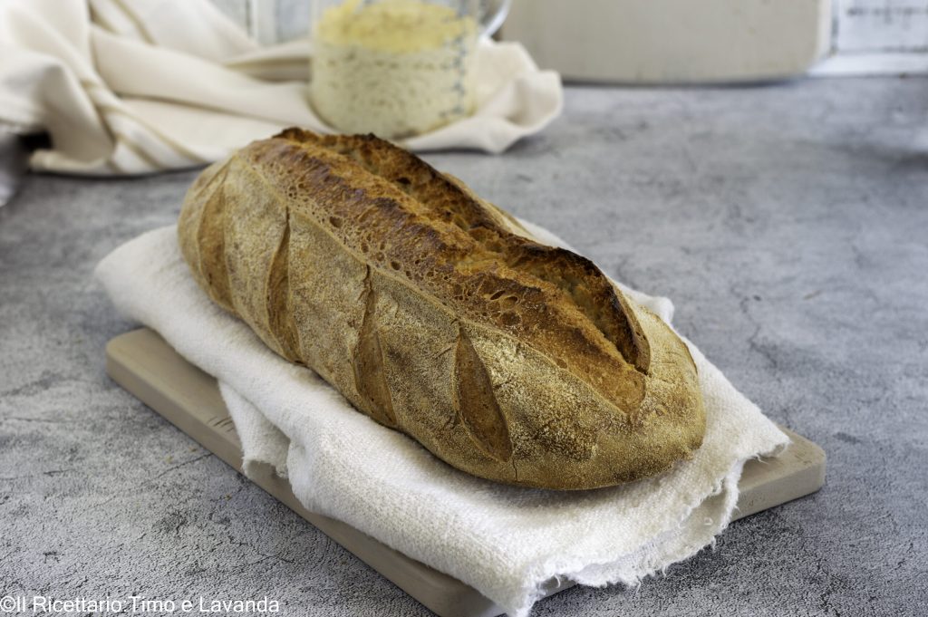 Sourdough Bread with Preferment