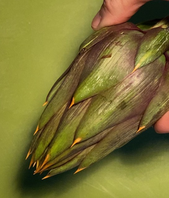 Clean the artichokes