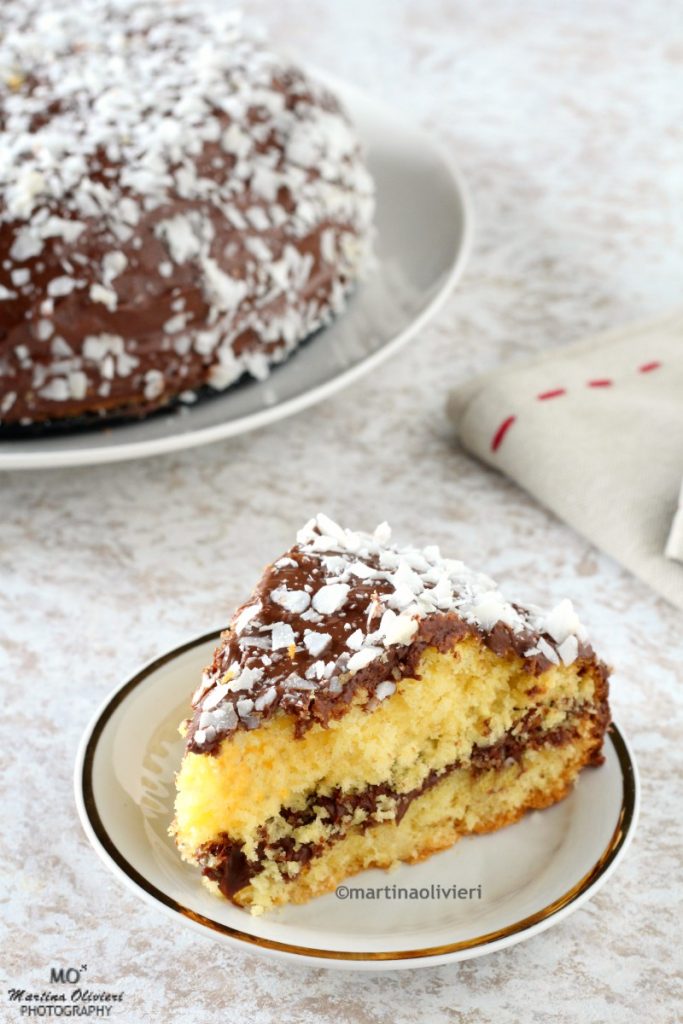 Coconut and Chocolate Cake