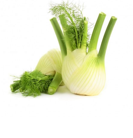 fennel