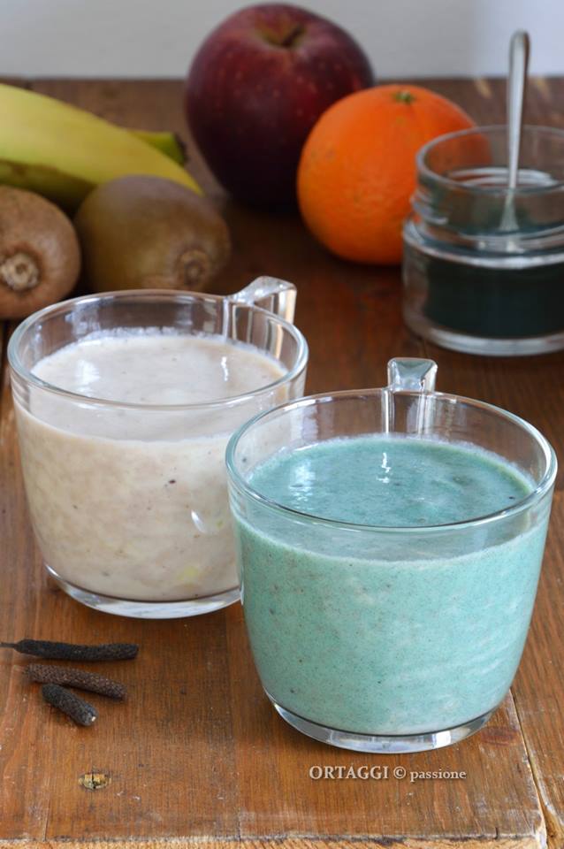 homemade smoothies with immersion blender ORTAGGI © passion