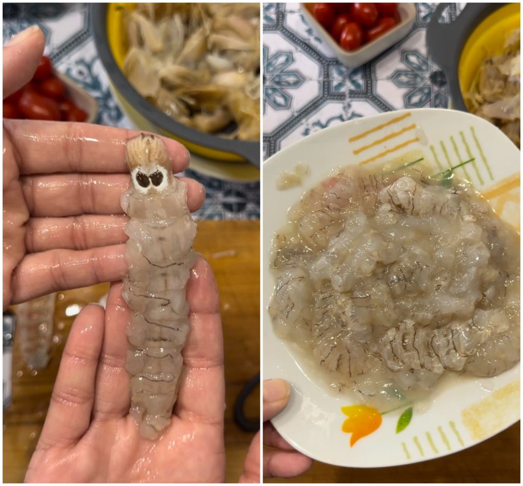 how to clean mantis shrimp