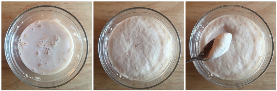 No-Knead Bread - Step 1