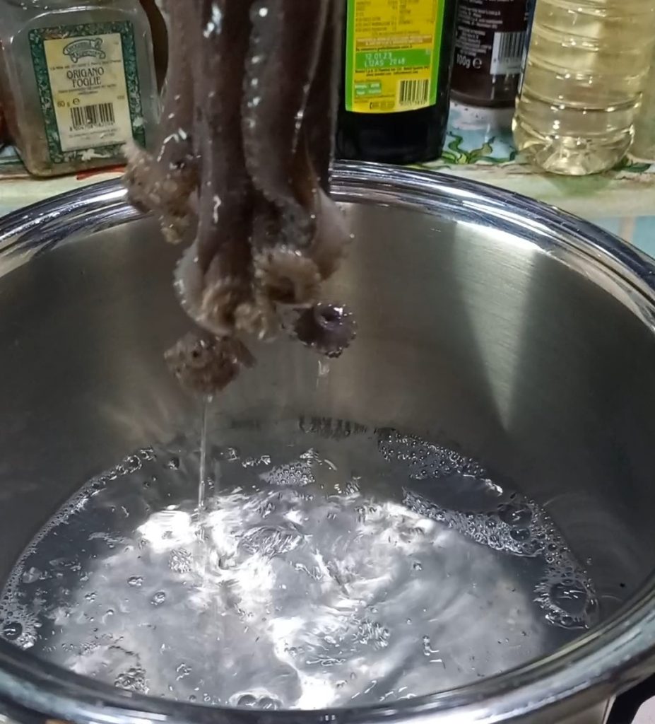 How to cook octopus for salad