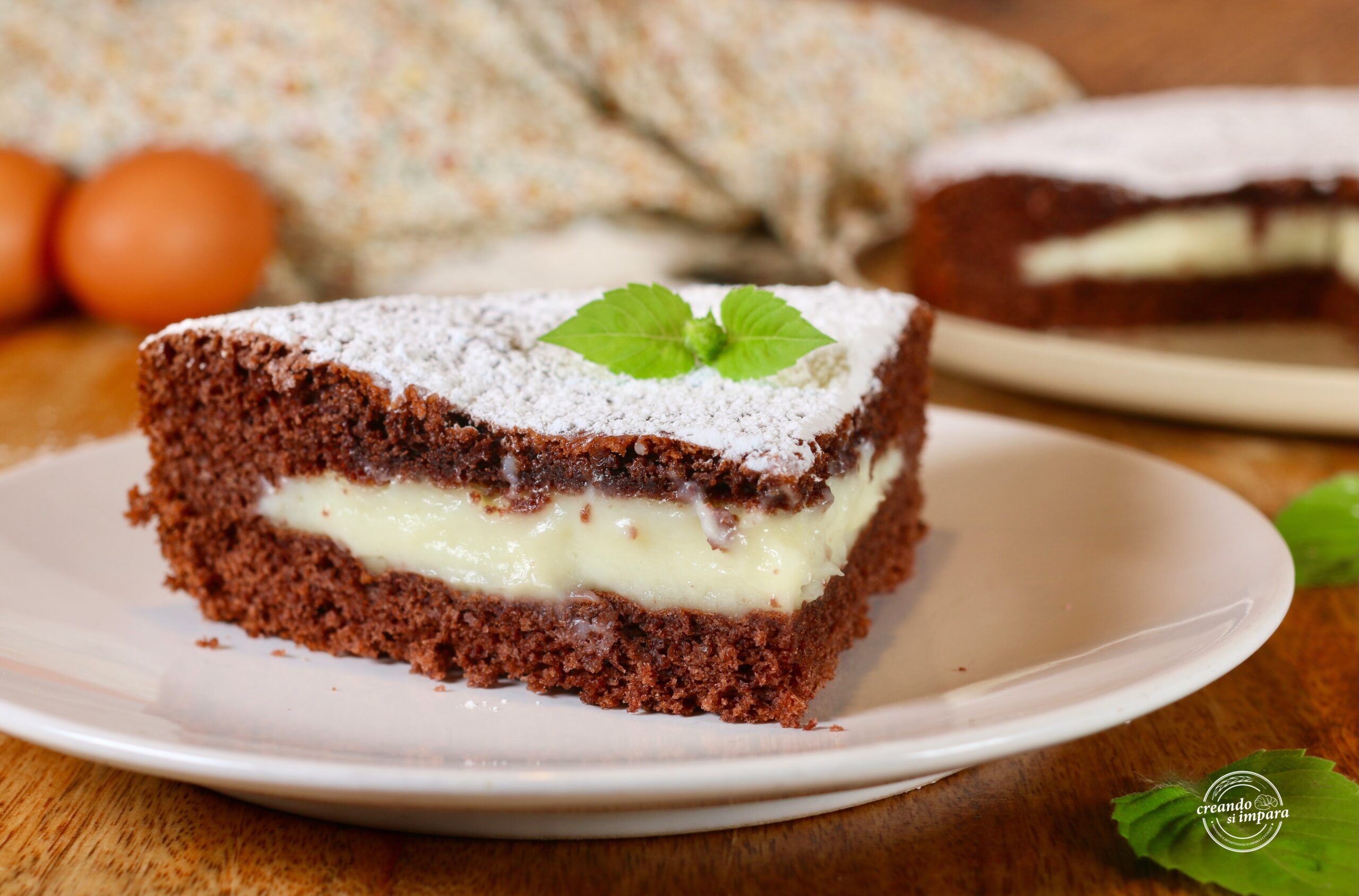 Poured Cocoa Cake with Custard