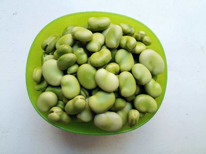 shelled fava beans