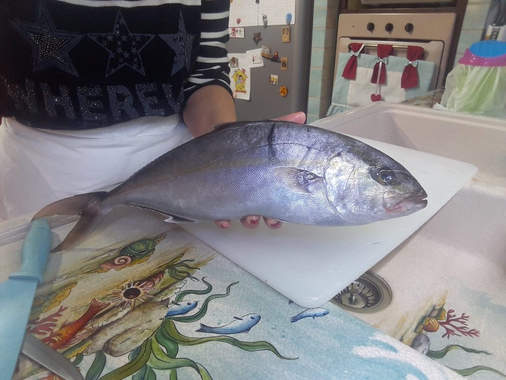 small amberjack