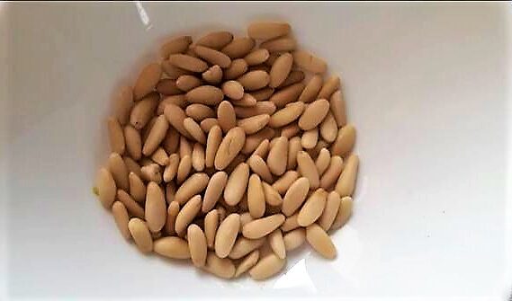 pine nuts