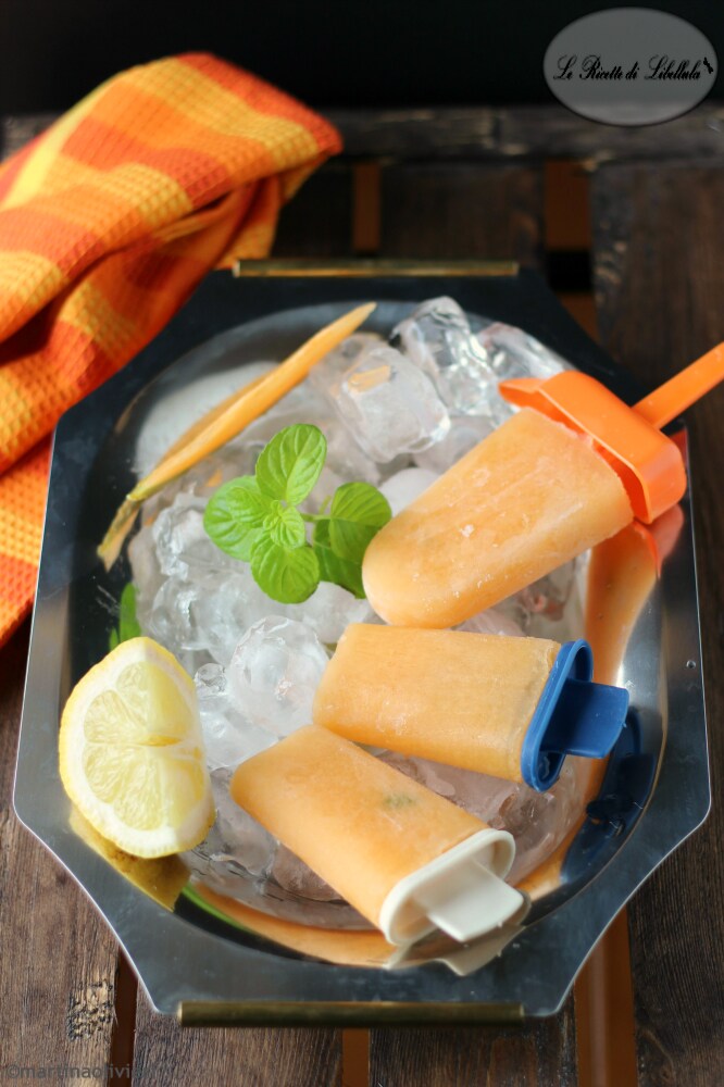 Vegan Melon Popsicles