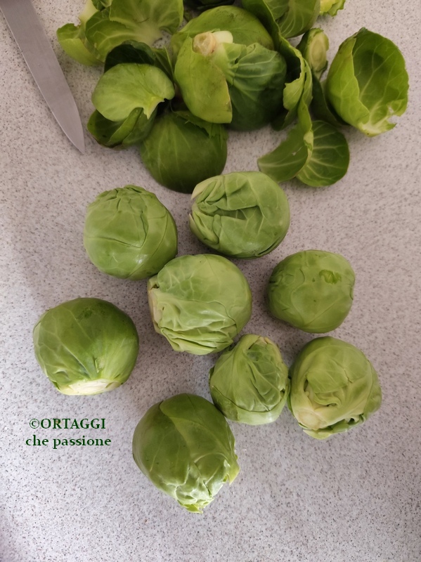 clean damaged leaves from Brussels sprouts