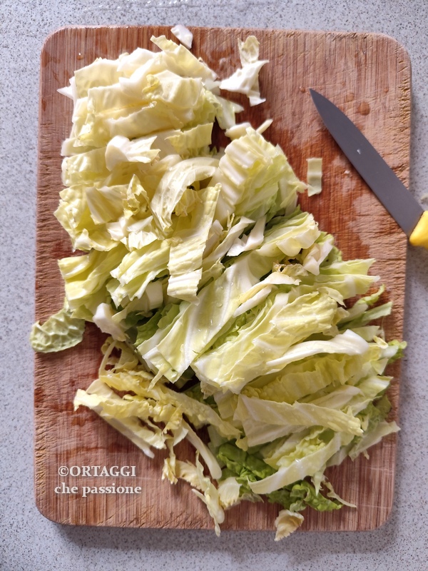 cut the cabbage into strips