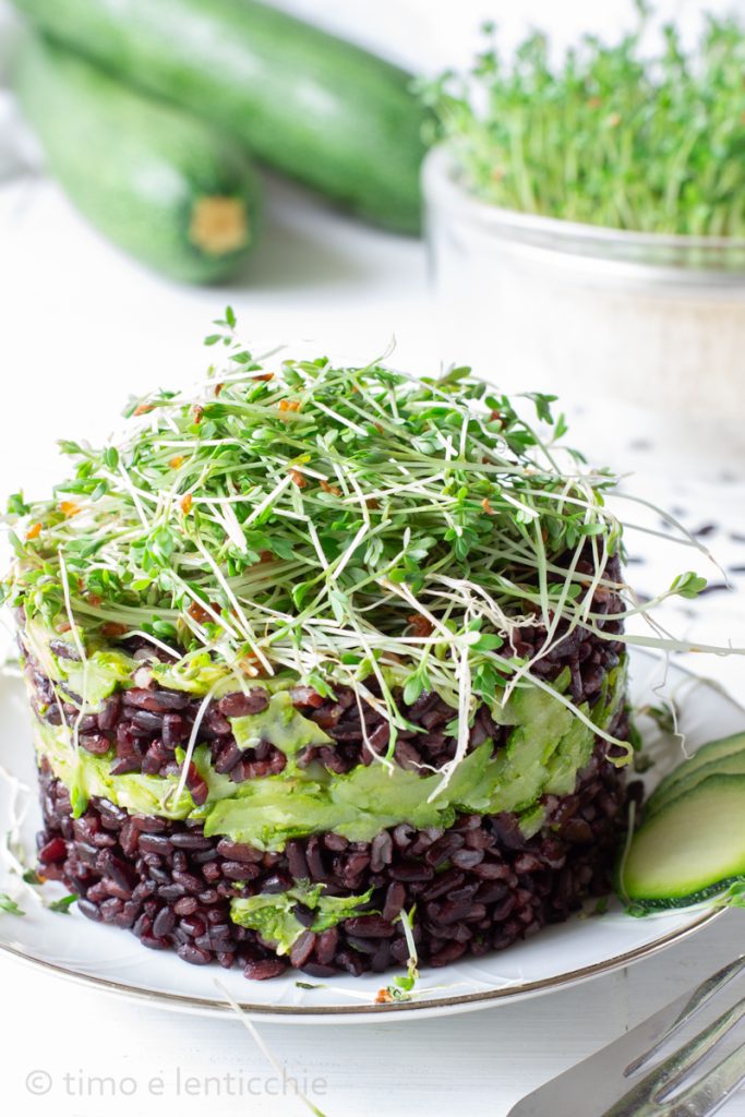 Black Rice and Zucchini Cakes