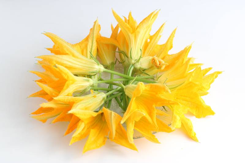 FRESH PUMPKIN FLOWERS