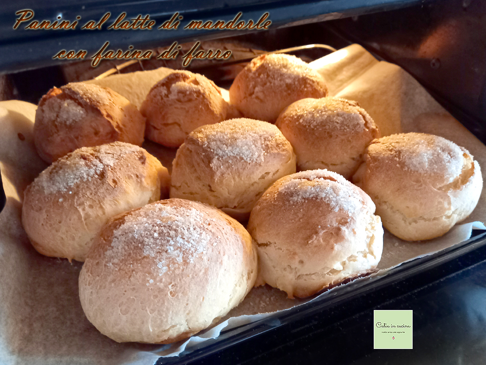 almond milk buns with spelt flour