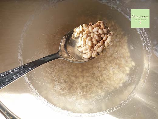 barley soaking