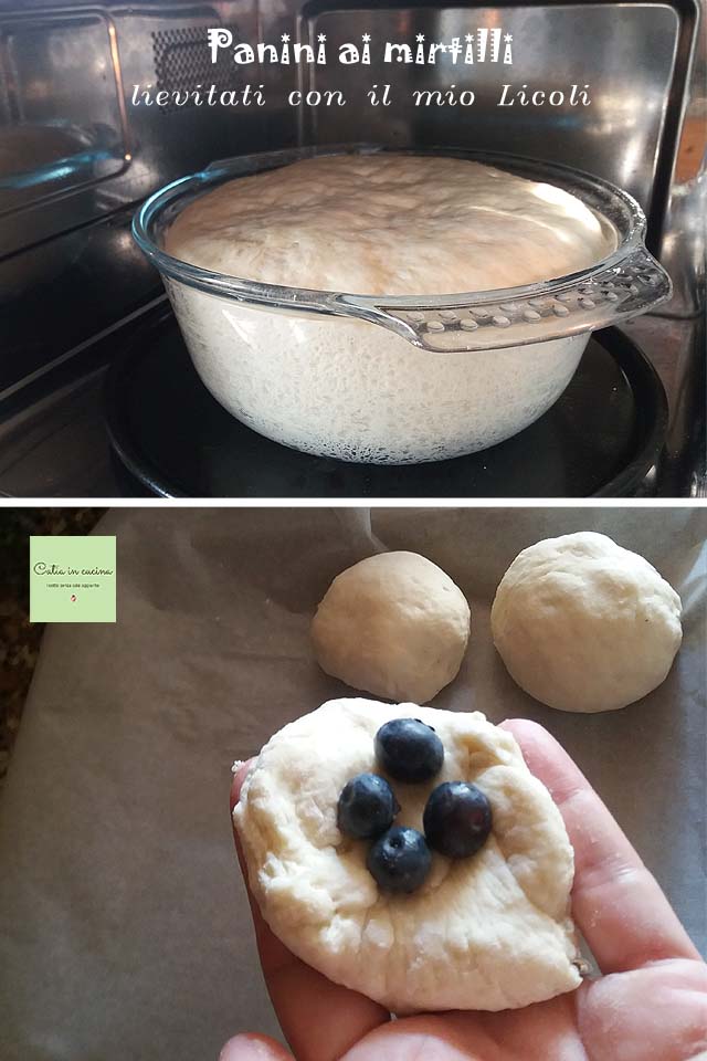 blueberry rolls - dough and filling