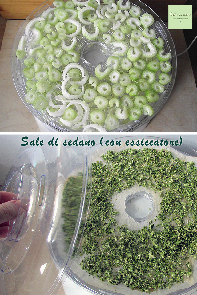 celery salt-dehydrator
