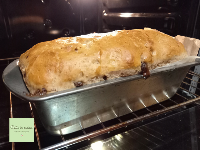 freshly baked chocolate bread