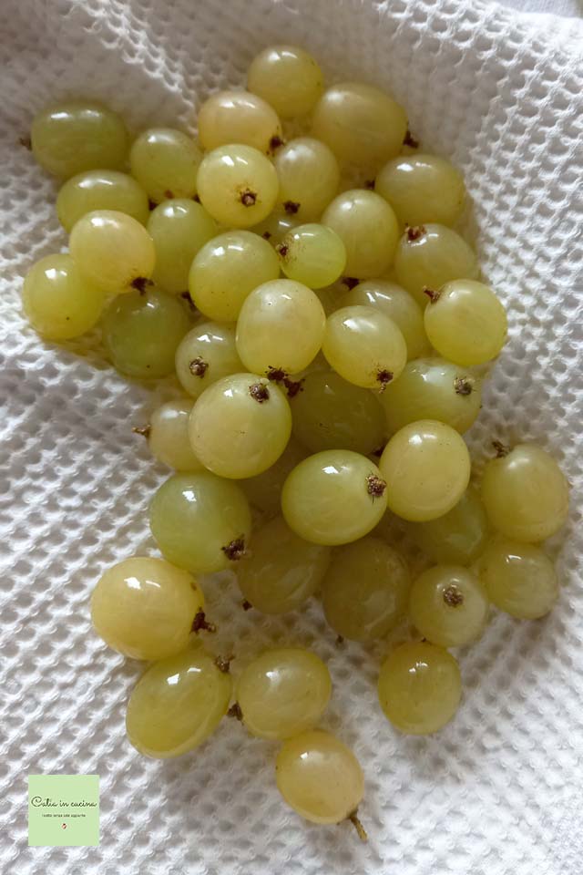 grapes with stem