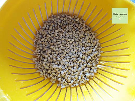 hulled barley after soaking