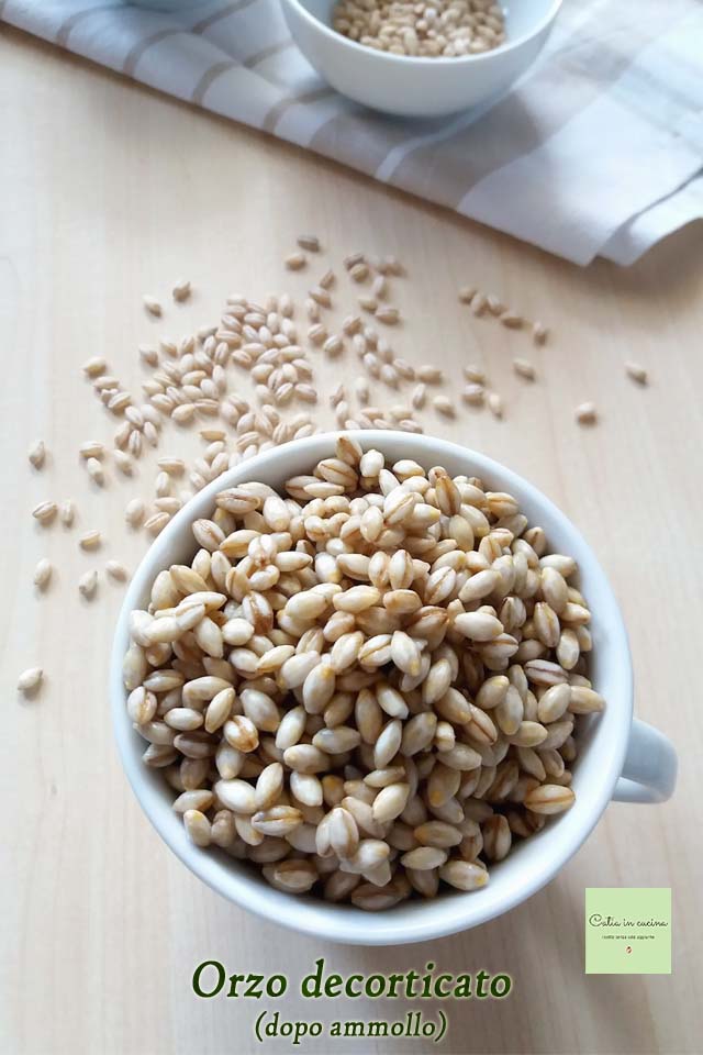 hulled barley after soaking