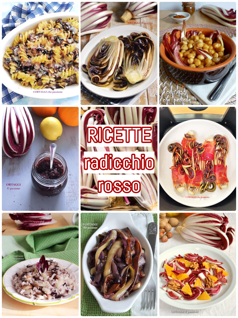 long red Treviso radicchio recipes - ORTAGGI che passione by Sara