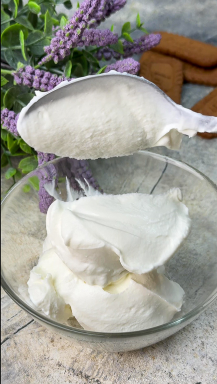 no-bake japanese cheesecake