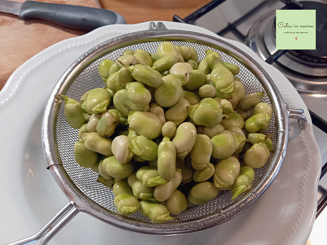 shelled fava beans