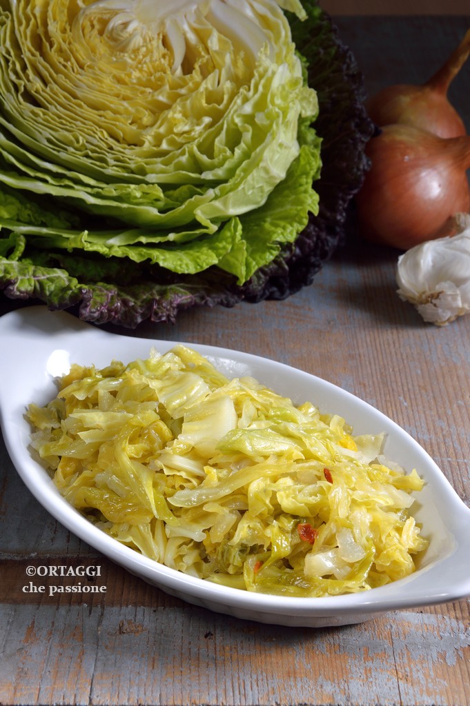 verze sofegae tasty braised cabbage