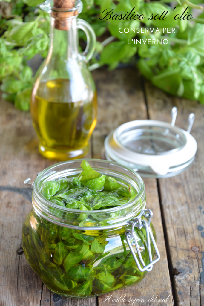 Basil preserved in oil for the winter