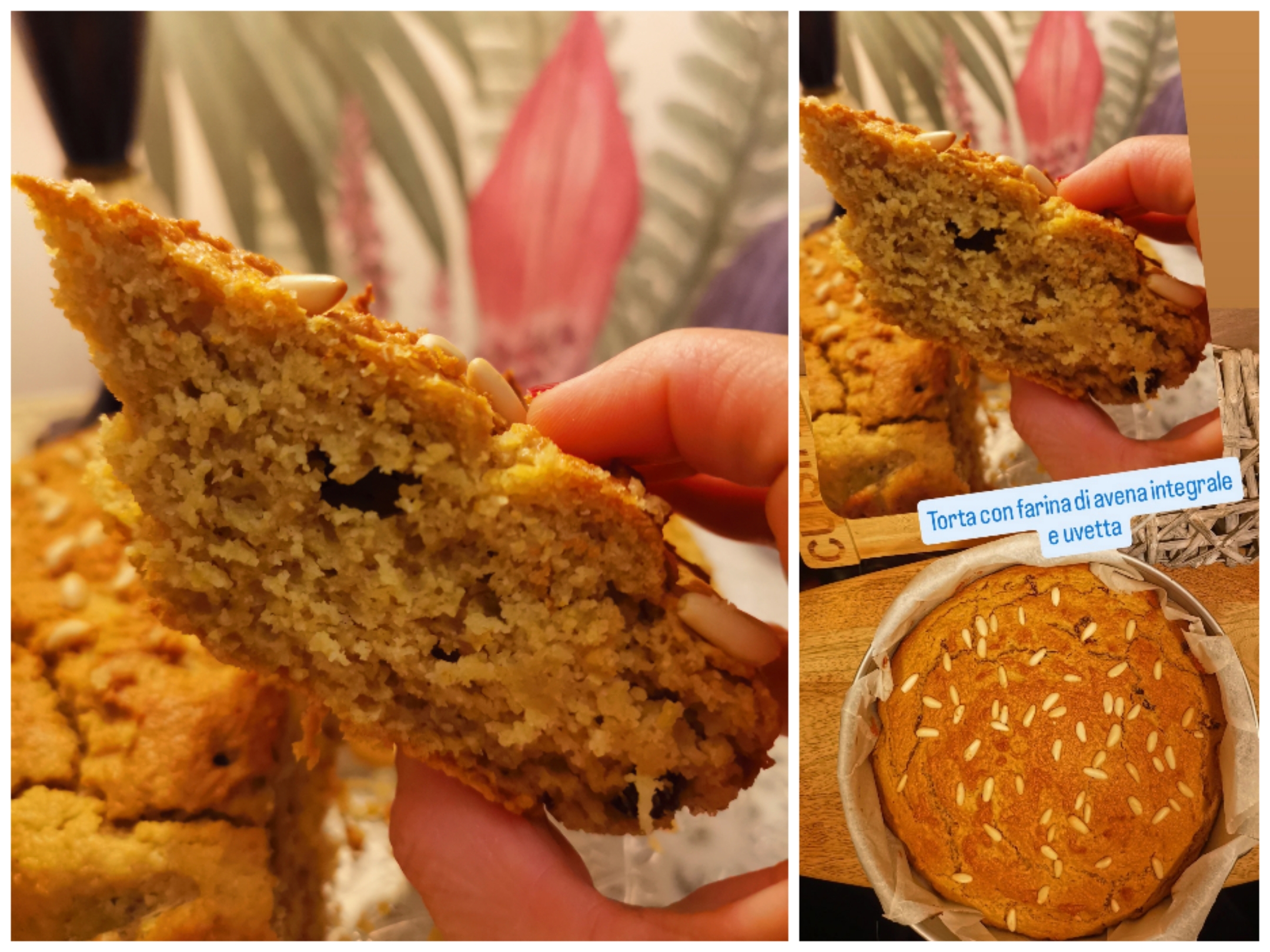 Whole Wheat Oat and Raisin Cake