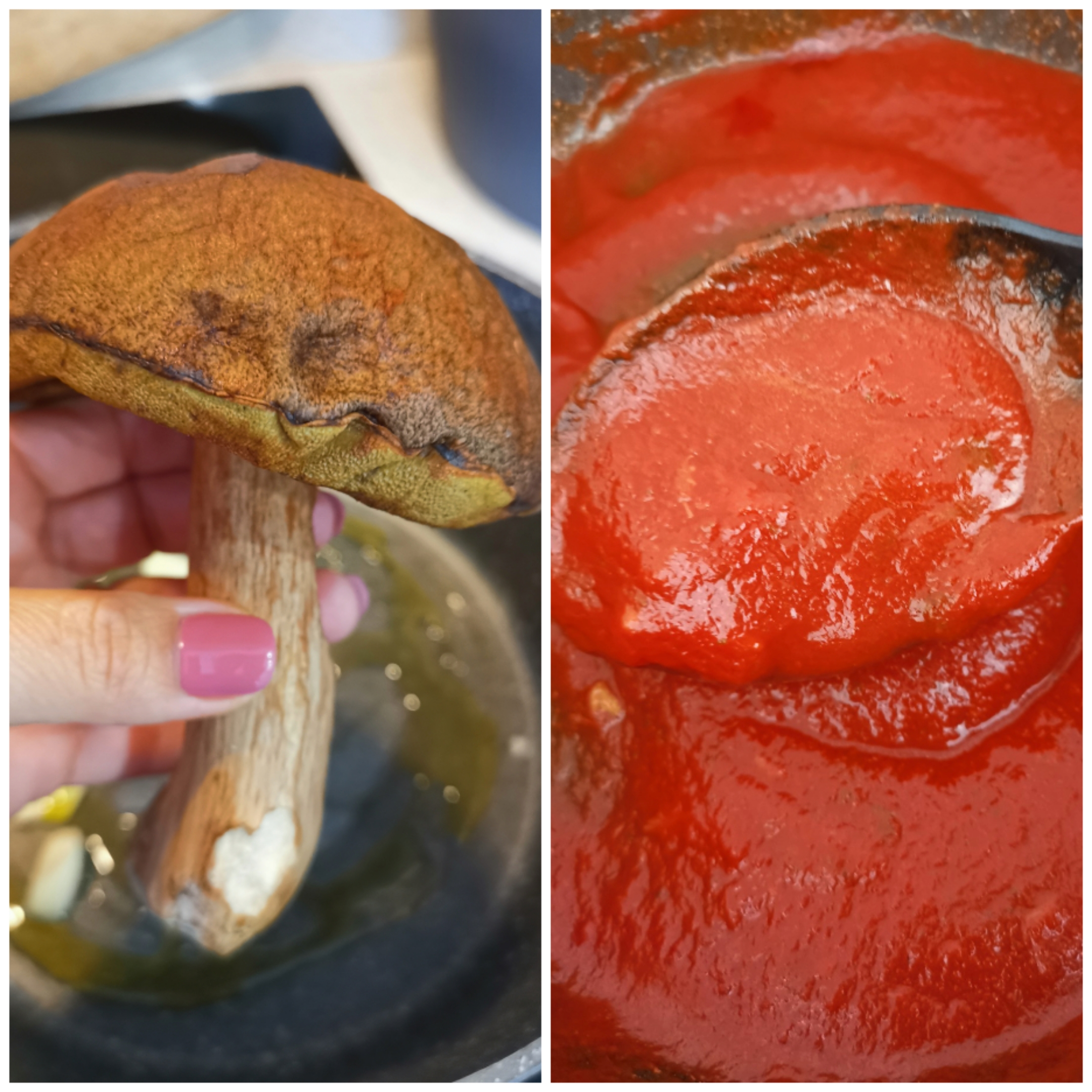 Fresh Porcini Mushroom Sauce