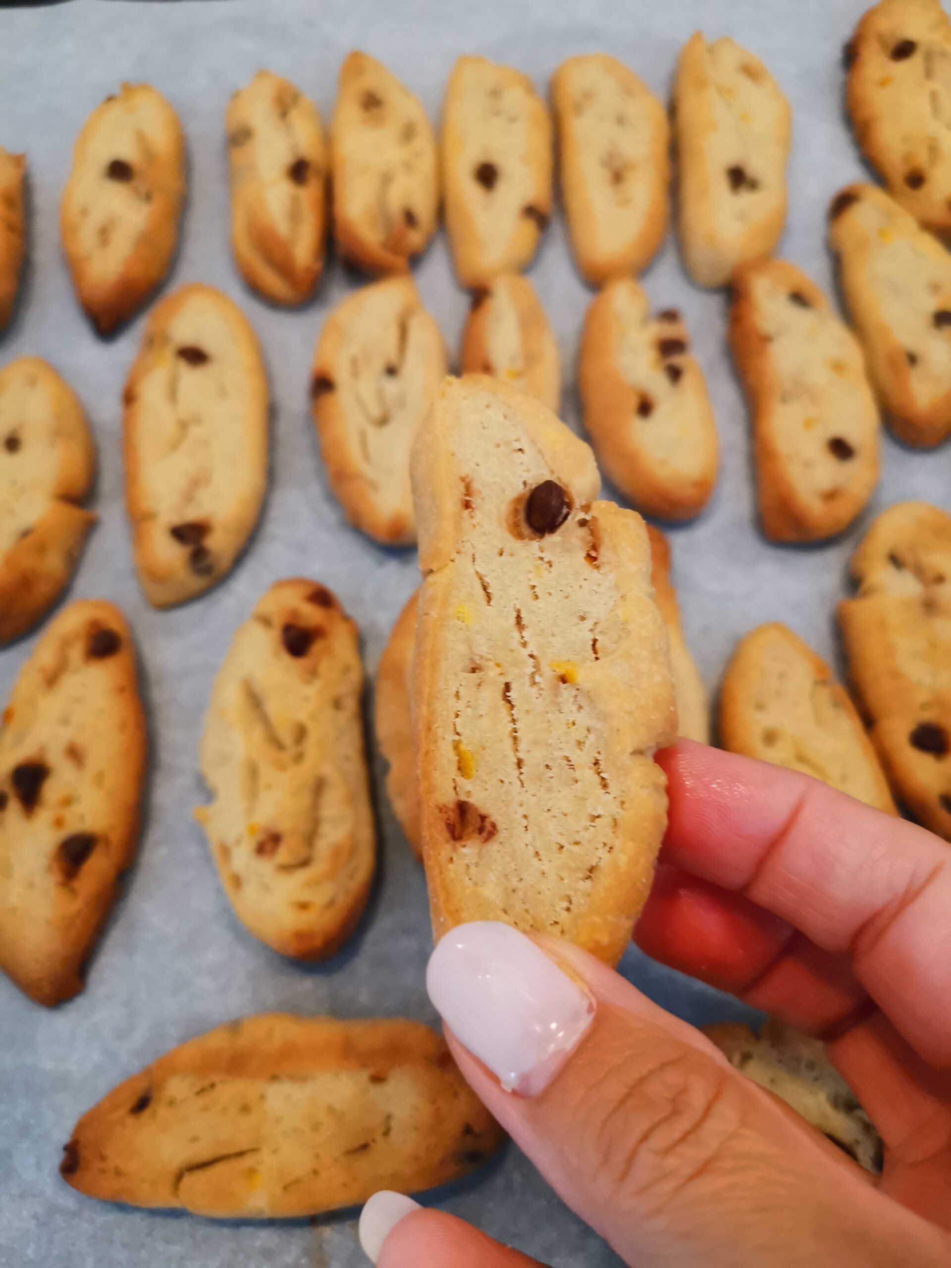 Orange and Chocolate Cookies