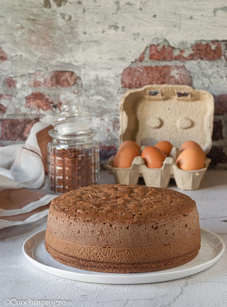 cocoa sponge cake