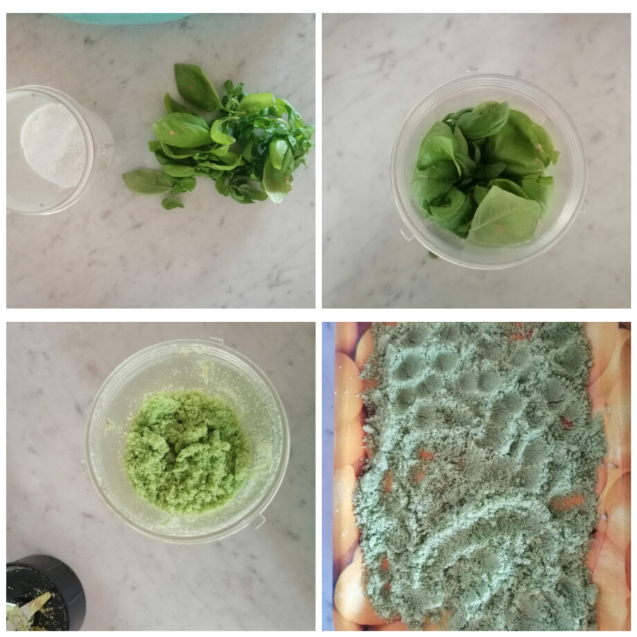 Green basil salt preserved for the winter