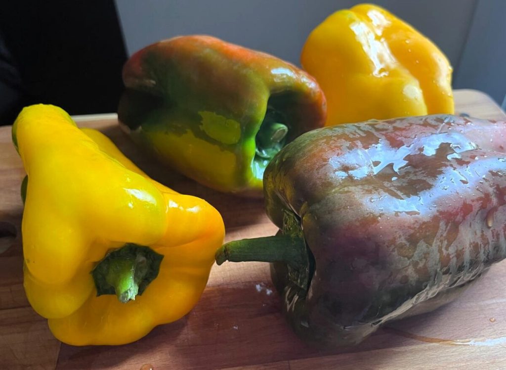 peppers south acasadigery