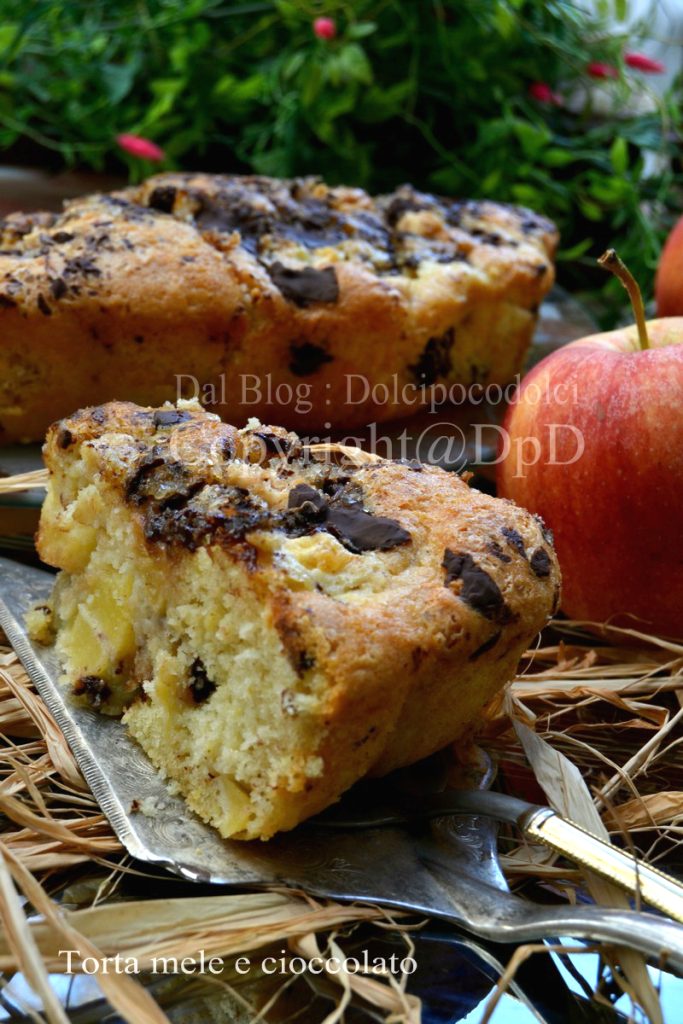 Apple and chocolate cake without butter with a slice in the foreground on a silver server, soft interior with pieces of apple and dark chocolate