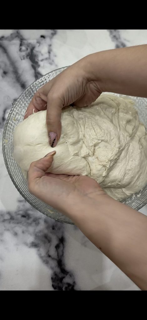 Make folds and let it rise