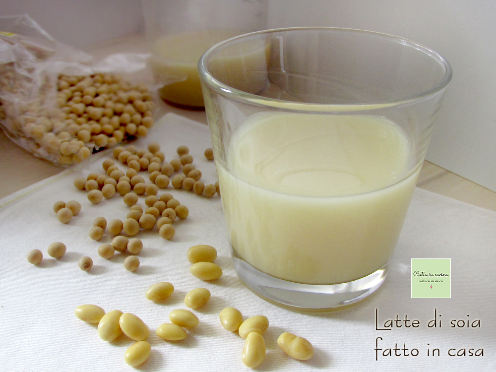 homemade soy milk